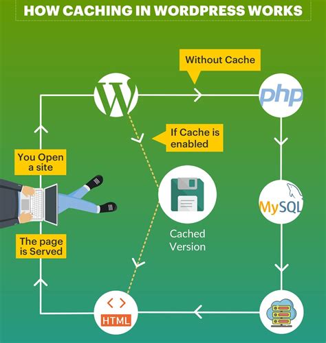Comparing the best optimization plugins for WordPress.